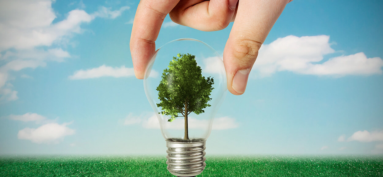 Sustainable Growth